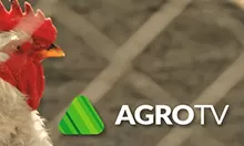 agro-tv.webp