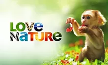 love-nature-hd.webp