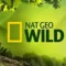 national-geographic-wild.webp