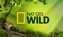 national-geographic-wild.webp