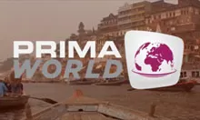 prima-world.webp