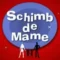 schimb-de-mame.webp