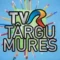 tvr-targu-mures.webp